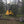 Yellow tent pitched in a forest setting with trees and grass visible